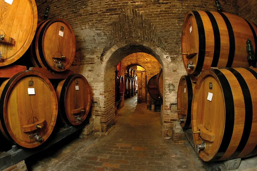Cantina da visitare nel Val d'orcia tesla experience